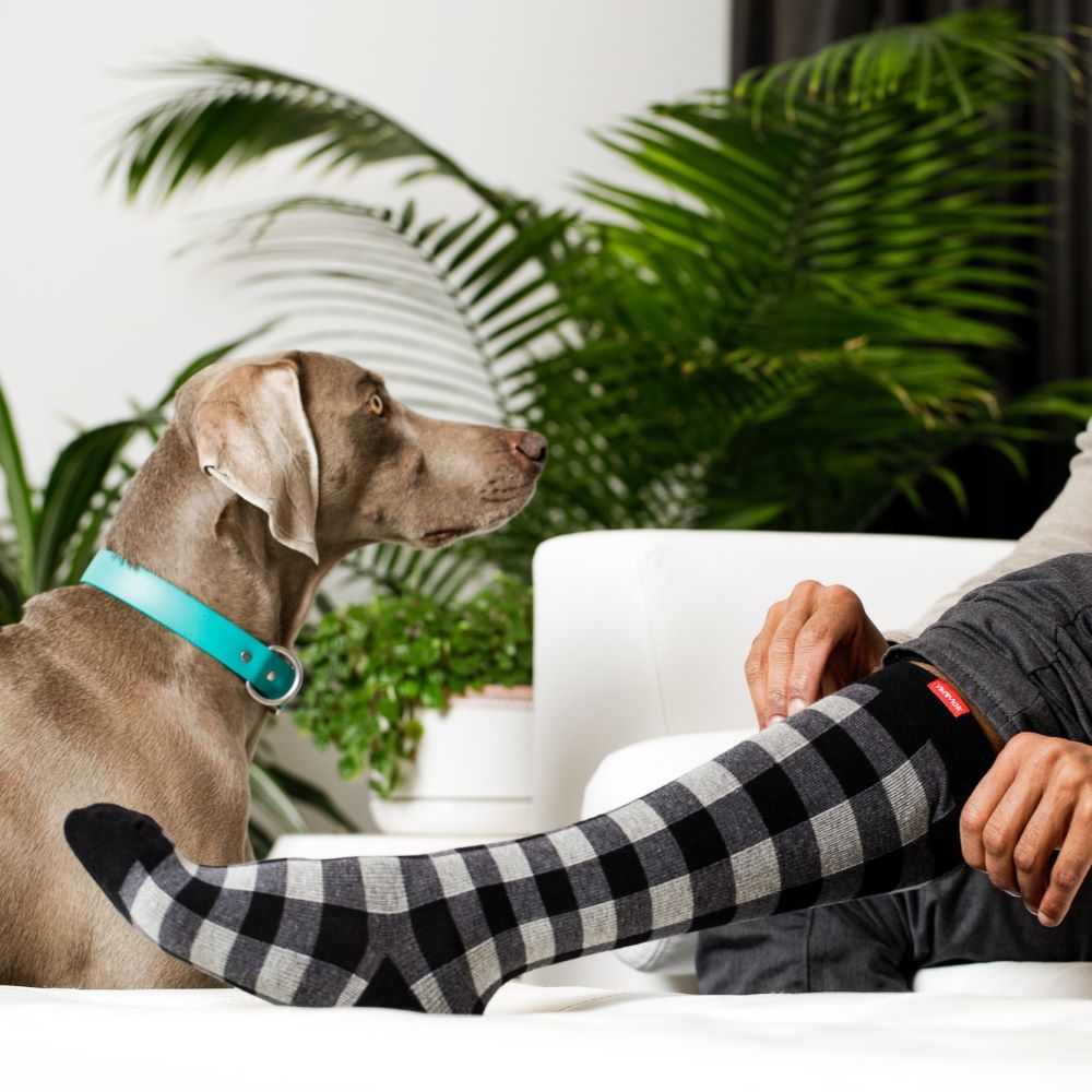 Montana Plaid (Cotton Compression Socks)