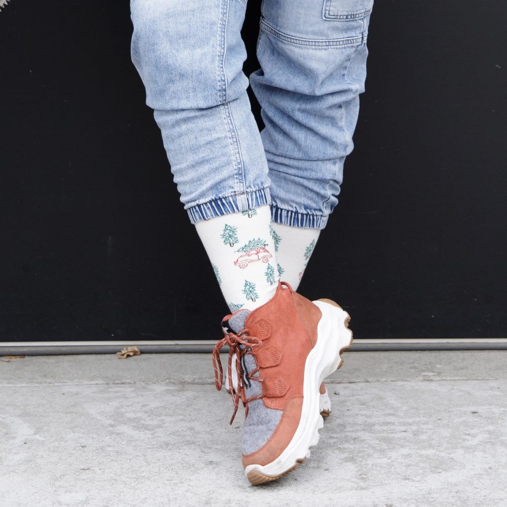 Tree Hunt (Cotton Compression Socks)