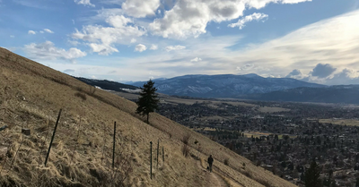 My Compression Sock Adventure: Hiking Mount Sentinel