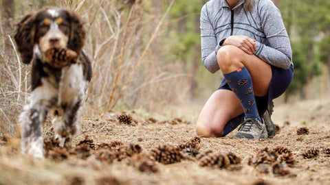 Merino Wool Versus Wool: How Are They Different?