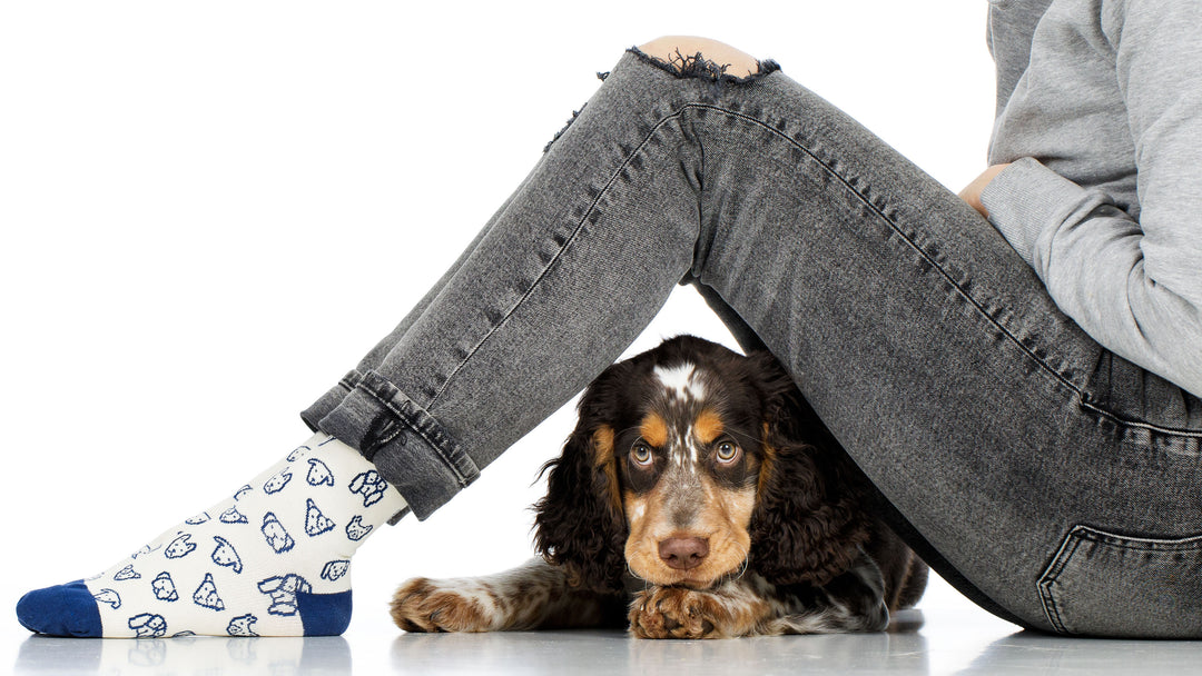 A woman sitting on the floor wearing denim jeans and compression socks featuring heart patterns. Underneath her legs and calves is a gray dog lying under her legs and calves. The background is plain white.