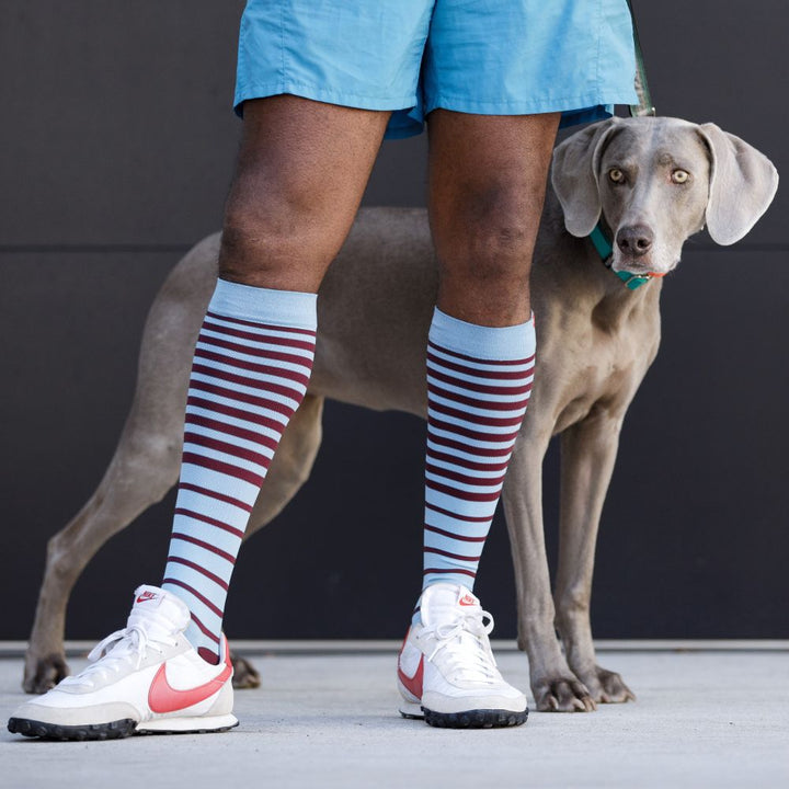 Powder and wine striped compression socks, lifestyle shot