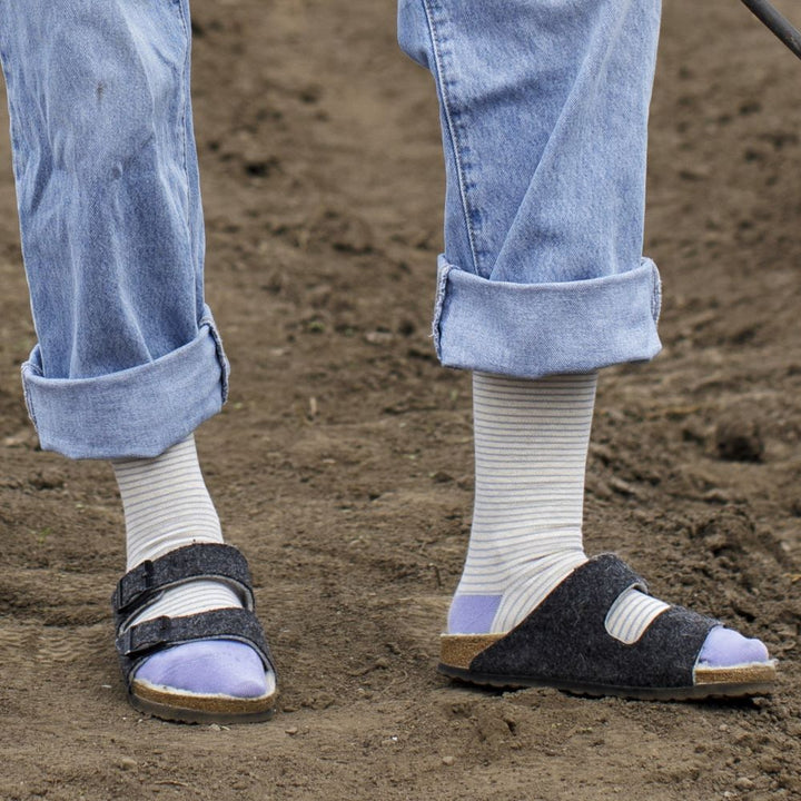 Pinstripe (Cotton Compression Socks)