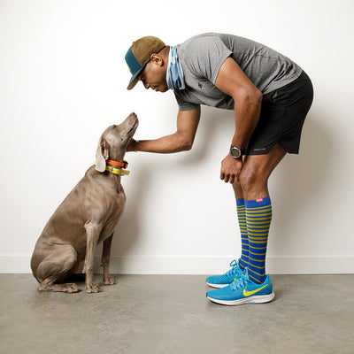 man wearing 30-40 mmHg: Falling Stripe Blue Moss (Nylon) Compression Socks with his dog